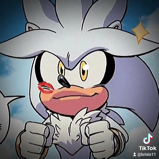Silvaze| Silver x Blaze| one Kiss #sonic