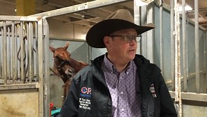 2.5K views · 56 reactions | NRCHA Novice Non-Pro Bridle World Champion Neil Taylor talks about ‘the’ lucky saddle pad and equine partner Hickorys Prize Doll aka “Dolly”. | Quarter Horse News | Facebook