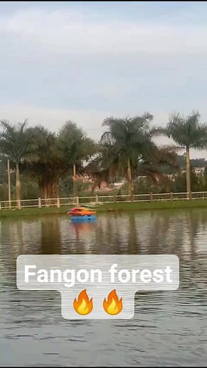 80K views · 1.3K reactions | Wuuuuhu bawe  | Faye Wa Alienskin | Facebook