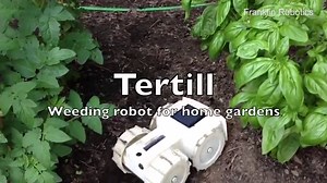 Solar-powered robot 'Tertill' autonomously weeds garden | Daily Mail Online