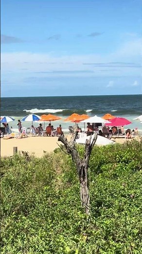 🏖️ Praia Brava, Balneário Camboriu, Santa Catarina, Brazil #shorts