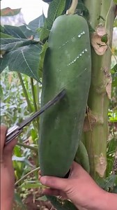 45 RUNNING TREES #shorts #satisfying #trending #viral