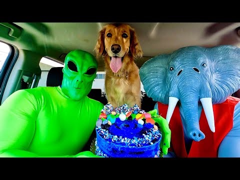 Alien Surprises Elephant & Puppy With Car Ride Chase!
