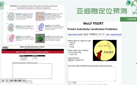 基因家族分析——亚细胞定位网站推荐（超详细）