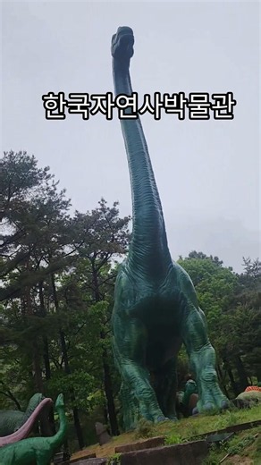 한국자연사박물관 #korea #여행 #travel #공주여행#한국박물관#역사#역사박물관#국내여생#공주가볼만한곳#충북여행