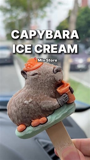 1.6K views · 14 reactions |  Capybara Ice Cream spotted in Mix Store Malaysia! Soft sleepy eyes, chonky little body, and a blend of hazelnut, chocolate & orange — this viral dessert looks too cute to eat (but too yummy to resist ) Have you seen it at your local store?  #CapybaraIceCream #MalaysiaEats #FoodieFinds #TooCuteToEat #ViralDessert #KLFOODANDTRAVEL | KL Food & Travel | Facebook