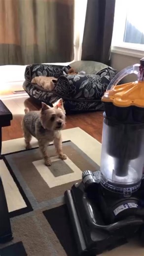 Paul Howard on Reels | Facebook