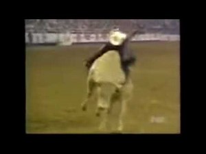 Terry Don West VS Bodacious 1994 Rodeo Houston