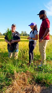 🌾 Dive into the magic of our farm! Last year, Roni and Justyn experienced the farm life like never before – and you could be next! 🚜 ✨ Imagine: 🌱 Exploring where rice is born in our Nursery 👨‍🌾 Digging into our special adobe clay soil 🏭 Peeking inside our “Top Secret” popping room 🐶 Giving farm dogs boops for being the goodest! Don’t miss out on your chance to win a FREE trip to California! What are you waiting for? Click here to enter now: https://www.lundberg.com/pages/world-of-regenera