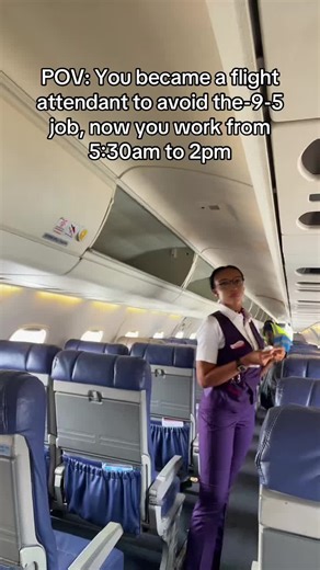 Life as a Flight Attendant: A Day in the Field