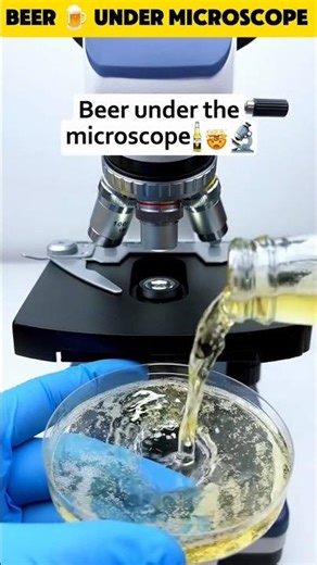 beer 🍺 under microscope #shorts #viral #trending