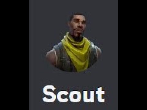 Simba's Scout Bot Tutorial