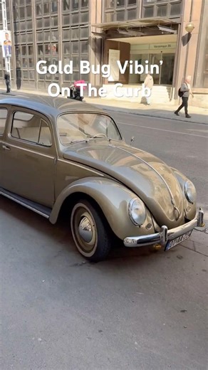 Golden Bug Volkswagen Beetle Carspotting: Late Fifties Icon For A Sunny Day