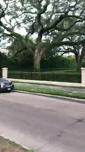 Tim Armstrong on Reels