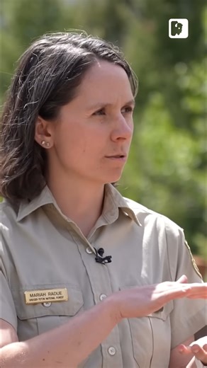 4 Geological Reasons the Gros Ventre Range is Prone to Landslides 👇 Discover how rock formations, rainfall, clay layers, and possibly even earthquakes contributed to the 1925 Gros Ventre landslide, and how this event continues to shape modern conservation, geology education, and land management in Wyoming. To learn more, watch the full WYOMING CHRONICLE episode, now available on the WY PBS YouTube channel! https://youtu.be/hzAPKEB0J5U | Wyoming PBS