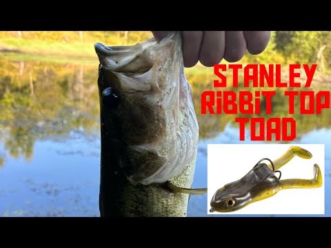 Stanley Ribbit Top Toad Frog bass fishing catches bass!