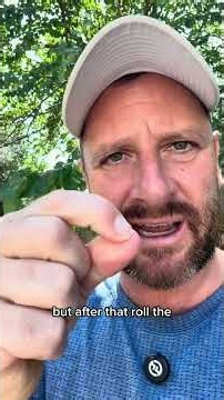 How to Properly Lay and Install Sod