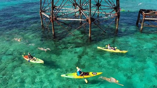 74K views · 610 reactions | RACE TO THE LIGHTHOUSE - More than 350 participants from around the world competed in the Swim for Alligator Lighthouse Saturday in the Florida Keys. Video courtesy of the Florida Keys New Bureau. https://bit.ly/2xcgrk2 | WPLG Local 10 | Facebook