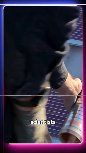 Japan Replaces 20 Nuclear Reactors With Paper? 勞 | LustreCrafts | Facebook