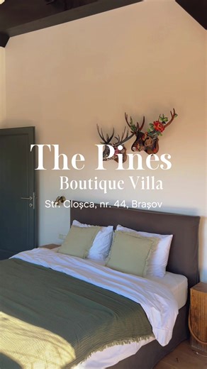 Surrounded by pines, stories simply happen, enjoy the view, and stay a little longer. Find out more & book: 40 738 124 966 #thepinesexperience #brasov #fyp #roomtour