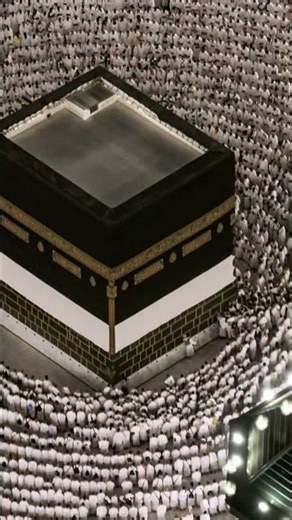 قل لمن الأرض #قرآنا_عجبا #اكسبلور #لايك #ترند #تيك_توك #المصحف #القرآن_الكريم #حالات_واتس