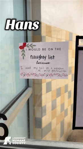 If you were to ask me, they’d all be on the nice list. Santa, however, shared some different experiences with our adoptable pups 😲 #longmonthumanesociety #dogtok #adoptdontshop #adoptme #colorado #foreverhome #rescuedog #happytails #dogsofinstagram #animalrescue | Longmont Humane Society