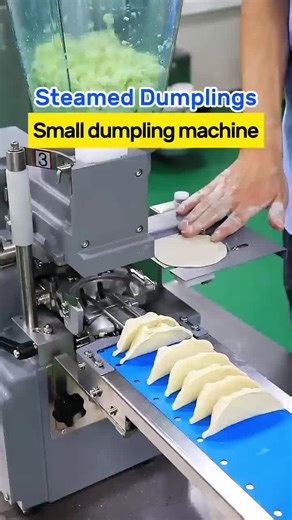 small dumpling machine does meet your need？#food machine#dumplings