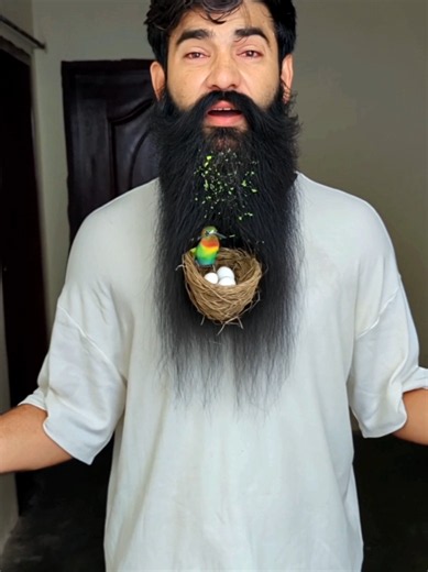 Hummingbird Nest on Beard: Why a Hummingbird Built There