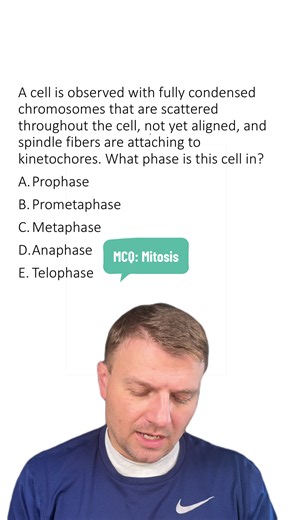 MCQ: Mitosis #biology #science #stem #mitosis #learnbiologyontiktok | mitosis