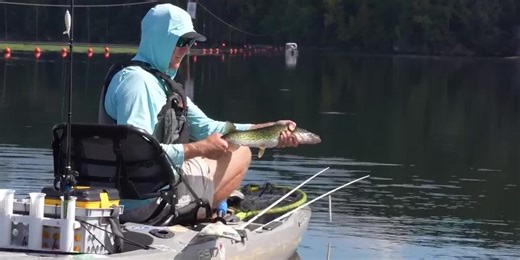 Reelin’ with Riley: Fishing down Stevens Creek