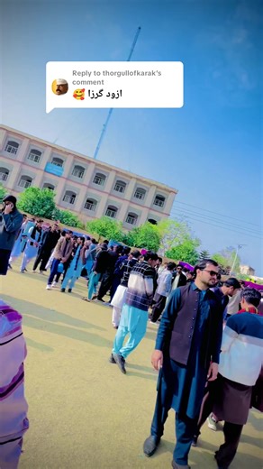 Captivating Slow Motion Eagle Clips