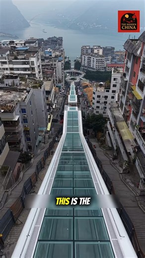 The World’s Longest Urban Escalator?! Chongqing’s 8D City Wonder! Cr : @黑与白 #shorts