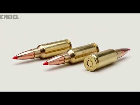 Every Rifle Cartridge Explained!