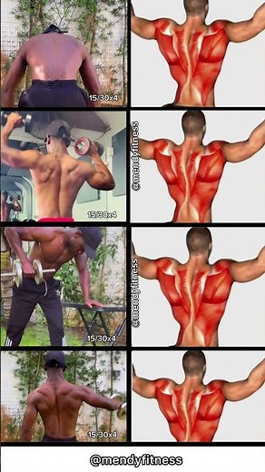 The Ultimate Back Workout at Home | 4 Exercises for Mass