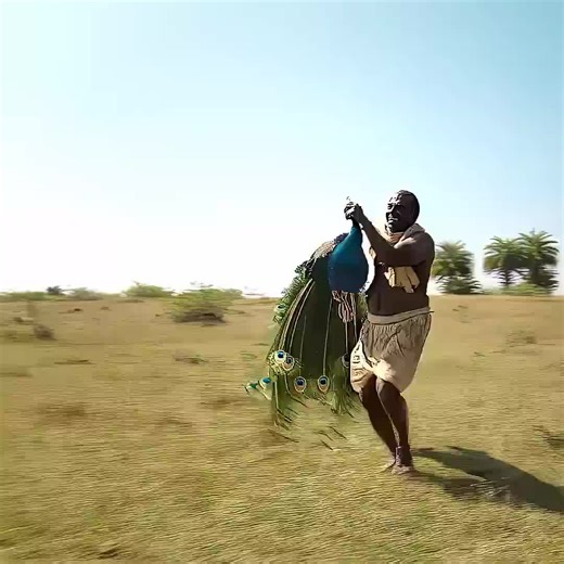 English movie 🍿🎥 (@english.movie088)’s videos with original sound - English movie 🍿🎥