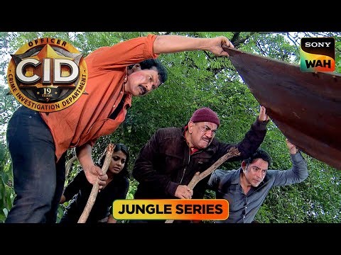 जंगल में फँसी Team CID बिना खाना और पानी के कैसे करेगी Survive? | CID | सी.आई.डी. | Jungle Series