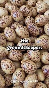 #redditmemes #redditstories