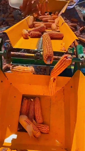 Folding Belt Conveyor Installation Guide. #shorts