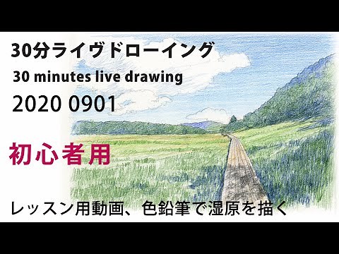【色鉛筆画】初心者からの湿原風景画 30分レクチャードローイング! coloredpencil drawing Beginners！