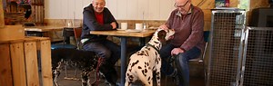 The Lucky Pup - Dog Friendly Cafe | Cannon Hall Farm