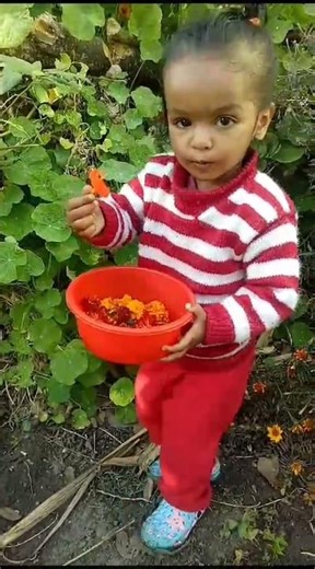 my doll🥰 little girl status 😍 girl status#beti#girl#cute#cutebaby