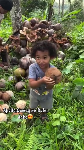 Apollo Full Lyrics - JoAnn