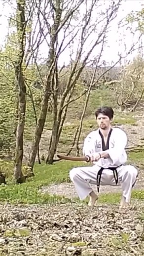 BOKKEN SUBURI #bokken #katanashorts #martialarts #aikido #iaido #kendo #kenjutsu #haidonggumdo