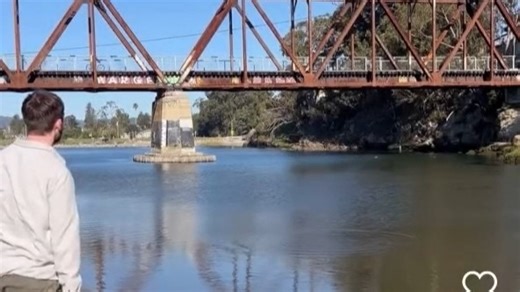 (补档）ins上的逆天抽象视频集锦#6