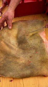 481K views · 2.8K reactions | Bucăți #mari #de #slănină # #pentru # #sărămură # #☘️☘️ | Eugen Danca | Facebook