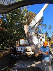 Piece by piece out in leland | TREE Masters Expert Tree Care