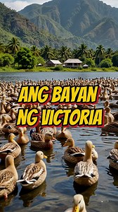 Ang Bayan ng Victoria 🦆🛖 mula sa Probinsya ng Laguna 🏛️ Rehiyon ng Calabarzon 📝 Estoryahan likha ni Eyo Laurio Department of Tourism Calabarzon Office Department of Tourism - Philippines Tourism Officers League of Laguna Inc. Municipality of Victoria, Laguna #fypシviralシ2025 #viralreels #trendingreel #itikfarming #ALAMAT #lagunaphilippines #itik #Philippines2025 #fyp #VictoriaLaguna #CALABARZON #ItikFestival #PilaLaguna #Laguna | Eyo Laurio