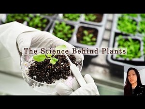 The Science Behind Plants 🌱🔬 | The Hidden Life of Plants