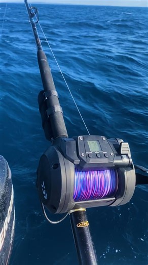 The Wilson Electric Assist Batteries suit most electric reels on the market. We've put in 18 months of testing these batteries on a range of different reels, just so we could get a real world feel for what they're capable of doing. The internal management system means you can put these batteries under immense stress and they'll not impact the battery's life or the reel. Available at your local retailer now in 3.5Ah, 7Ah and 10Ah. | Wilson Fishing