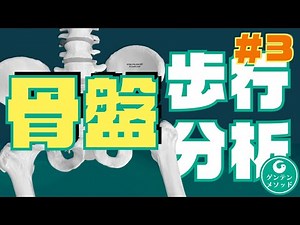 歩行分析のコツ③骨盤の評価